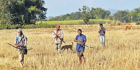 போடோ தீவிரவாதிகளை தேடும் பணி தீவிரம்: நடவடிக்கை மிகக் கடுமையாக இருக்கும் - ராஜ்நாத் சிங் திட்டவட்டம்﻿