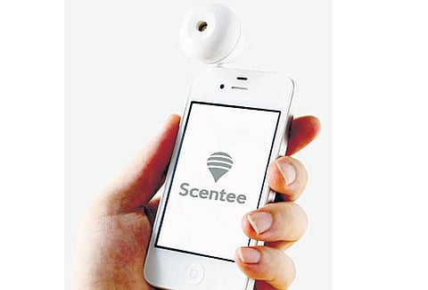 வருங்கால போக்குகள்