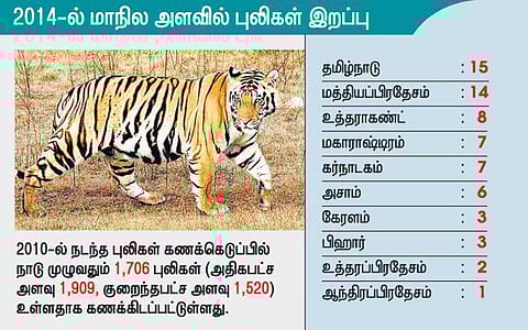 2014-ல் 66 புலிகளை இழந்தது இந்தியா