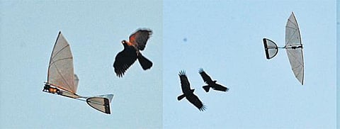 ஐஐடியில் குட்டி விமானங்கள் சாகசம்﻿: வியப்போடு ரசித்த பார்வையாளர்கள்﻿