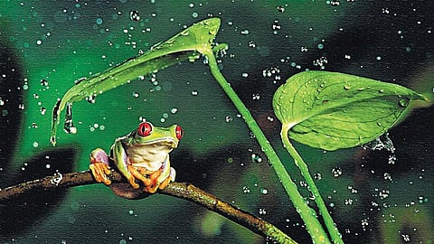 உயிரியலிலும் உயர் மதிப்பெண்﻿