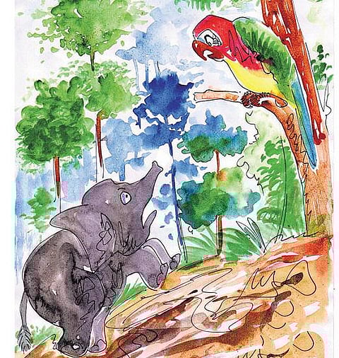 தும்பிக்கை பெரிதான ரகசியம்!