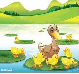 குவா குவா வாத்து - குழந்தைப் பாடல்