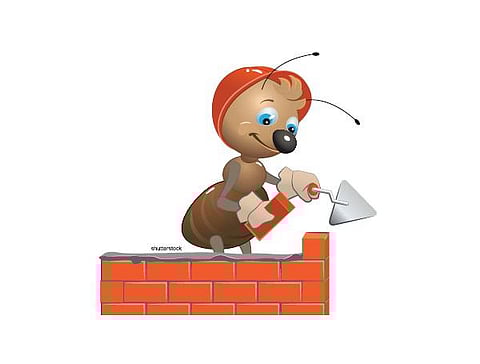 எறும்புகள் என்னும் பொறியியல் நிபுணர்கள்