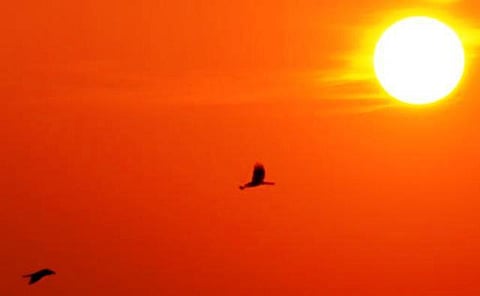 இந்தியா கொண்டாடும் விவசாயிகள் திருவிழா!