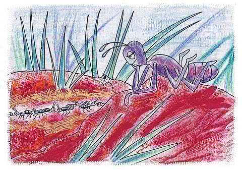 குறும்புக்கார எறும்பின் கதை - மலையாள நாட்டுப்புறக் கதை