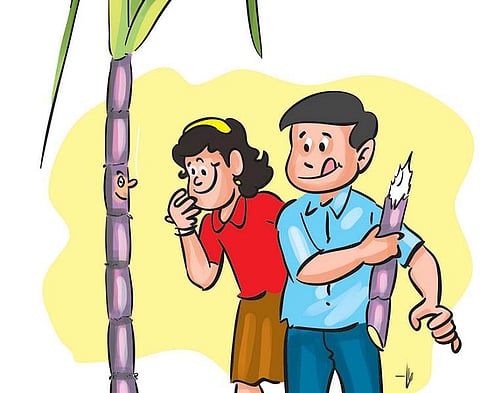 நான்தான் தித்திக்கும் புல்!