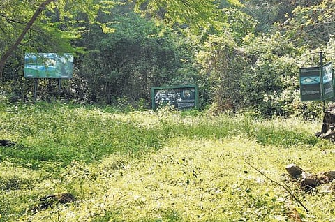 ஆனைமலை புலிகள் காப்பக வனப்பகுதியில்﻿ காணாமல்போன வன உயிரின விளக்க மையம்