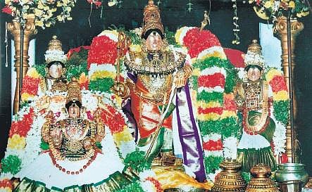 சங்க இலக்கியமாகும் கன்னிப் பொங்கல்﻿