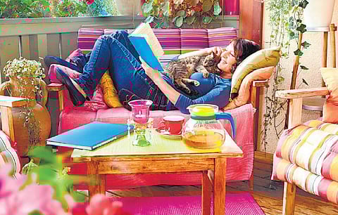 ஆரோக்கியம் தரும் மாடித் தோட்டம்﻿