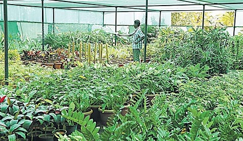 பாலாற்றைப் புனரமைக்கும் ‘பசுமை வேலூர்’