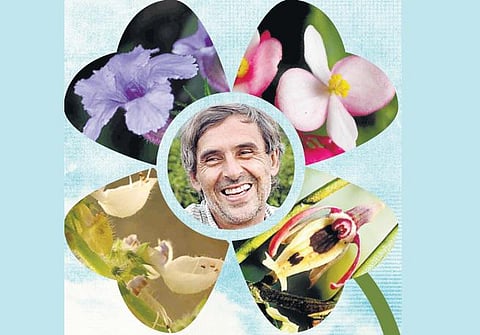 இந்தியத் தாவரங்களின் ஜெர்மானிய ரட்சகர்