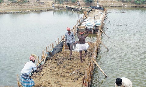 நிரந்தர தீர்வு கிடைக்காமல் தொடரும் அவலம்﻿: கடல் நீர் உட்புகுவதைத் தடுக்க களமிறங்கிய கிராம மக்கள்﻿