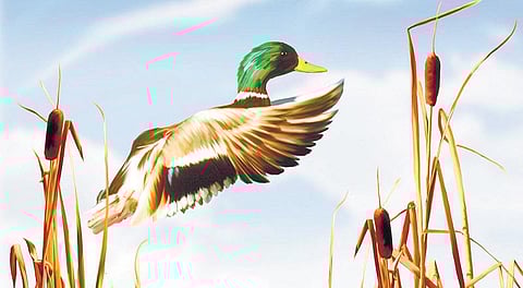 உலகத்தோட உசுரு  எதுல இருக்கு?﻿