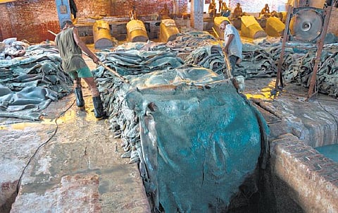 தோல் தொழிற்சாலைகளும் சுற்றுச்சூழலும்﻿