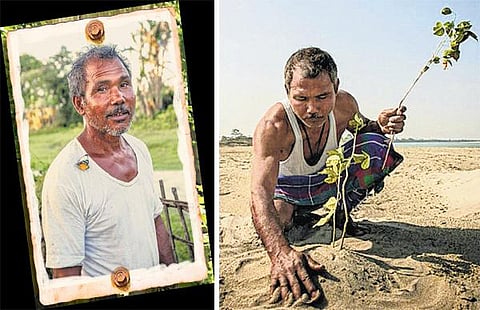 ஒரு காட்டின் பிரம்மா