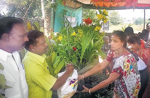 பசுமை விழாவாக மாறிய காதணி விழா: இலவச மரக்கன்றுகளை வழங்கி மரம் வளர்ப்புக்கு உயிர்கொடுத்த அரசு ஊழியர்