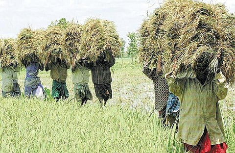 நெல்லைப் போற்றிய காலம் அது!