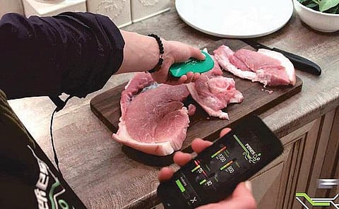 உணவுப் பொருளை ஆராயும் கருவி