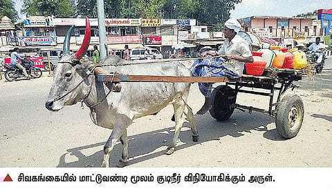 சிவகங்கையில் தாகம் தீர்க்கும் முதியவர்﻿: மாட்டு வண்டியில் வீடு தேடி சென்று குடிநீர் விநியோகம்﻿