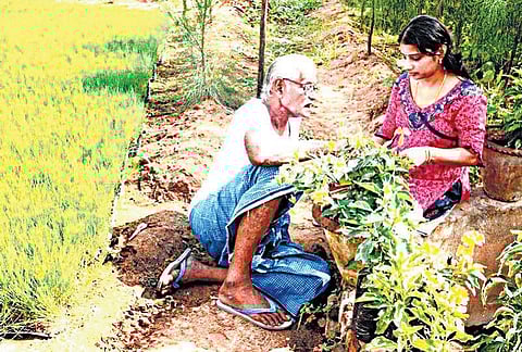 ‘விவசாயிகள் புதியன கண்டுபிடிக்க வேண்டும்: பத்மஸ்ரீ புதுவை வெங்கடபதி﻿