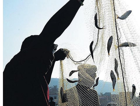 கந்தனால் இனி மீன் பிடிக்க முடியாது!﻿