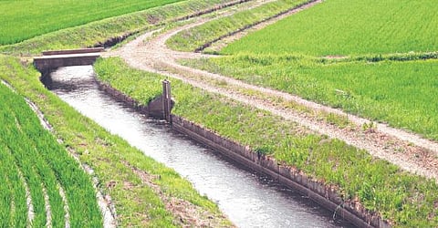 அறிவோம் நம் மொழியை: நீருயர மொழியுயரும்