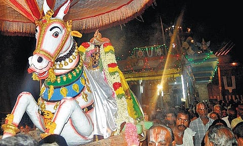 அதிசய குதிரையில் அற்புத காட்சி﻿: நிகழ்வு