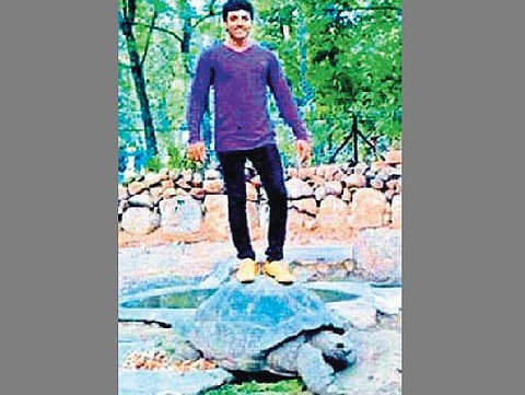 ஆமை மீதேறி எடுத்த படத்தை லைக்குகளுக்காக ஃபேஸ்புக்கில் பதிந்த இளைஞர் கைது