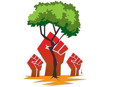 மண் பயனுறப் பாடுபட்ட சிந்தனையாளர்