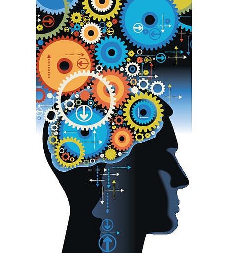 தொழிற்கல்வி பாடங்களிலும் சாதிக்கலாம்﻿: வெற்றிப்பாதை பிளஸ் 2