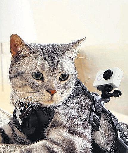 ஜியோமியின் ஆக்‌ஷன் காமிரா﻿