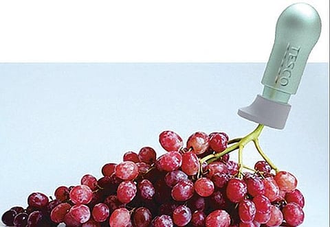 டெஸ்ட் டியூப் பழங்கள்