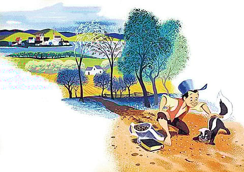 ஆப்பிள் மனிதன்﻿