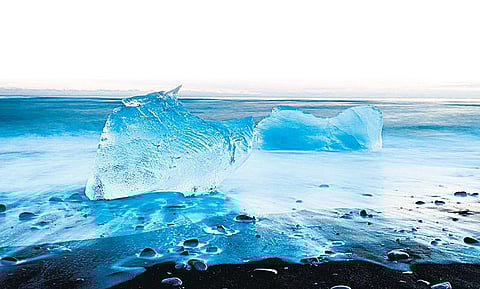 சதுரமான பழம் தெரியுமா?﻿