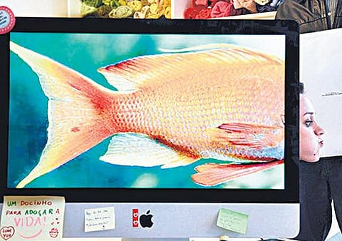 போரை அடிக்கணுமா?