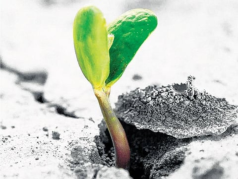 முதல் செலவு: திட்டங்களை விட செயல்படுத்துதல் முக்கியம்