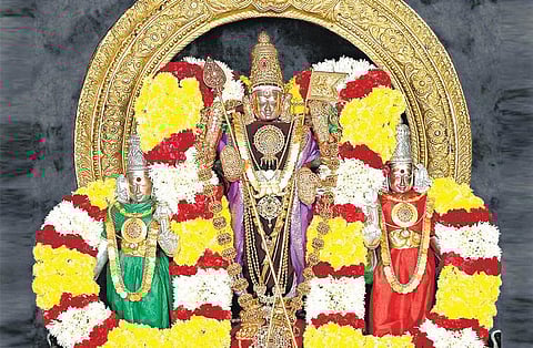 குலம் காக்கும் குமரன்﻿