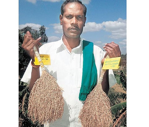 பாரம்பரியம் விதைக்கும் ஜெயராமனுக்கு தேசிய விருது﻿