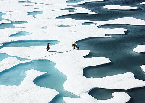உருகும் ஆர்டிக் பனி உலகுக்கு ஆபத்து﻿