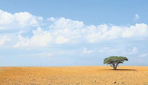 கையகப்படுத்திய நிலத்தைப் பயன்படுத்துவது எப்போது?