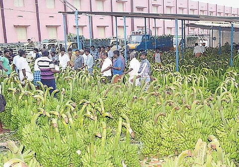 கர்நாடகத்தில் வரவேற்பை இழந்த தமிழக வாழைத்தார்கள்﻿: கோடை வெயிலில் பழங்கள் கருத்துப்போவதால் ஏற்றுமதி வீழ்ச்சி﻿