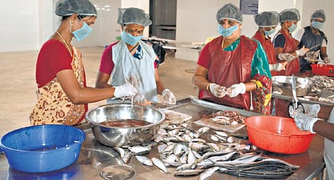 மீனவப் பெண்களின் புது அவதாரம்