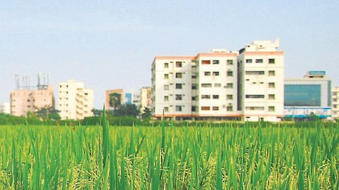 ஒரு பிடி மண் 6 - இந்திய விவசாயத்தின் இதயத்தில் ஆழமாகக் குத்தப்படும் கத்தி