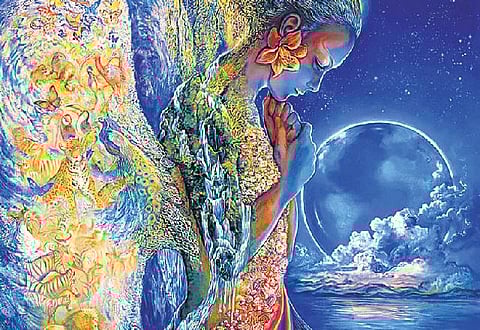 பூமித் தாய்க்கும் உரிமை உண்டு!﻿