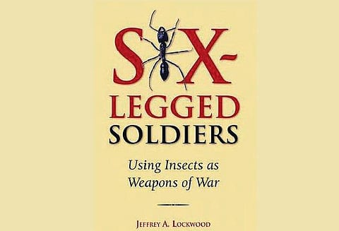 வீடில்லா புத்தகங்கள் 29: பூச்சி எனும் ஆயுதம்!