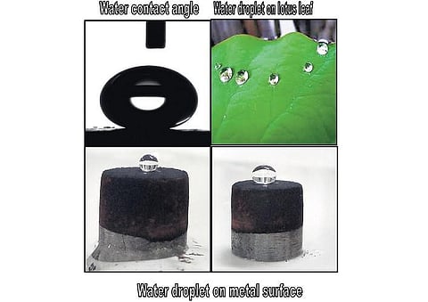 உலோக அரிமானத்தால் ஆண்டுக்கு ரூ. 2,500 கோடி இழப்பு﻿: தாமரை இலை கற்றுத் தந்த தடுப்பு தொழில்நுட்பம்