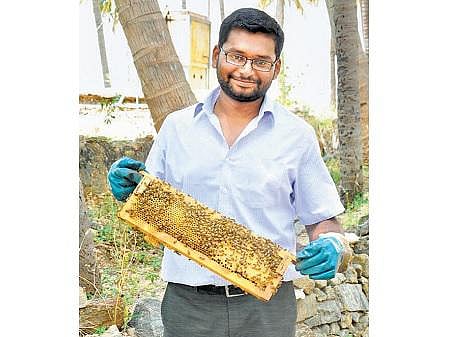 தேனீ வளர்ப்பில் புதுமை சாதிக்கும் முன்னாள் பொறியாளர்