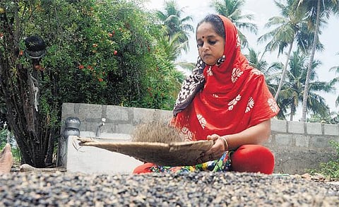 முகம் நூறு: வங்கிப் பணியில் இருந்து விவசாய நிலத்துக்கு!﻿