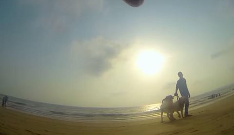 யூடியூப் பகிர்வு: கதறவைக்கும் தெருநாய் பிழைப்பு!